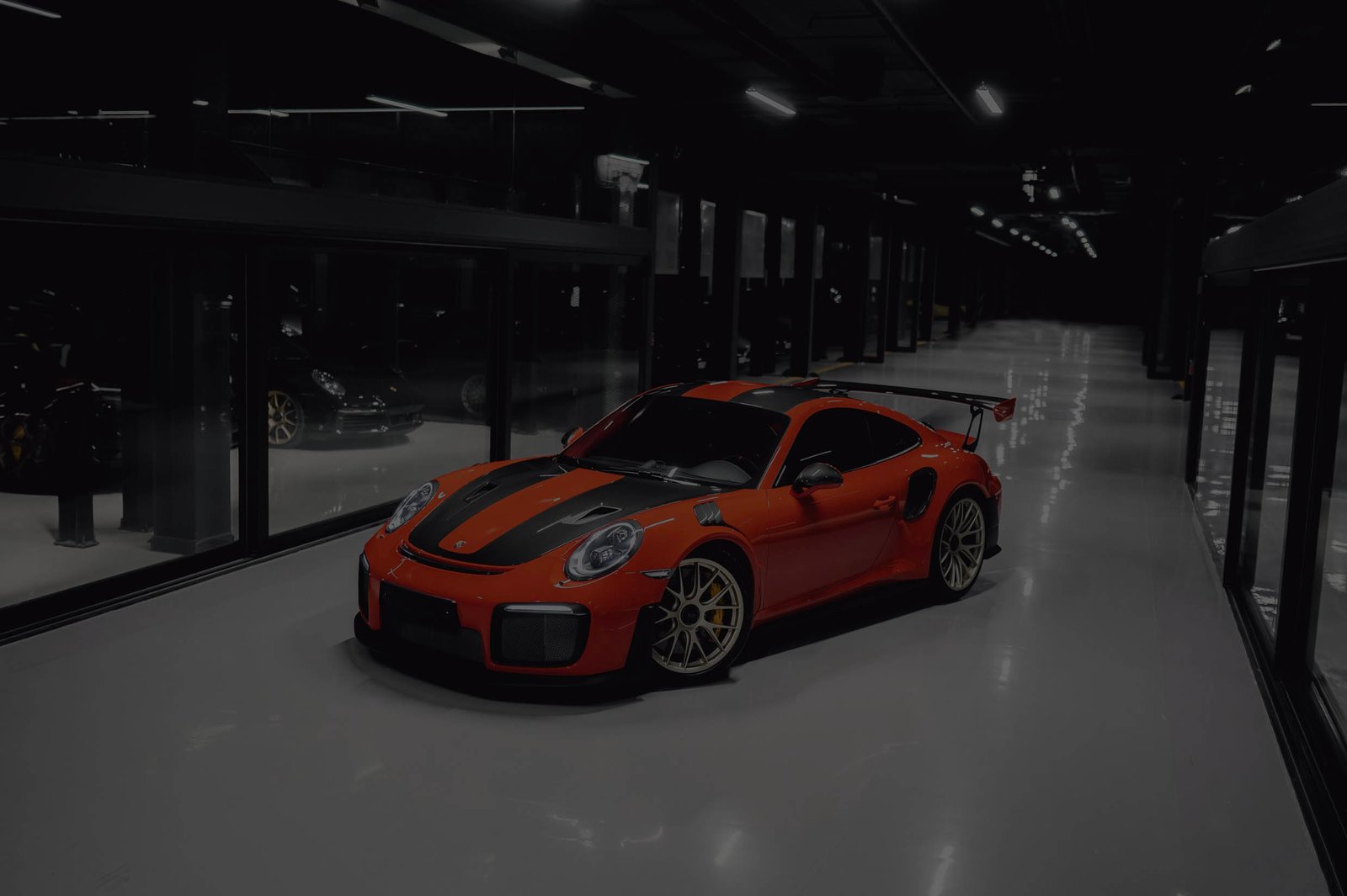 Portfolio Thumbnail Image